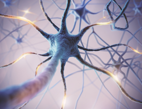 Neurotechnologie & wetenschappen: connectoom & stimuleren