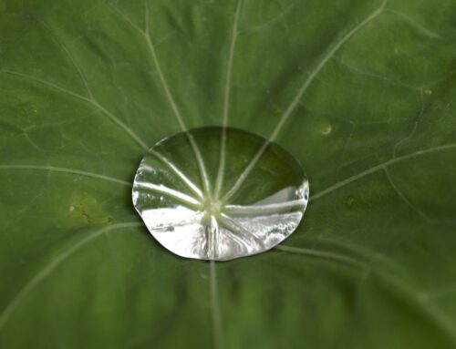 Nanotechnologie: definitie, 2 voorbeelden & 5 toepassingen