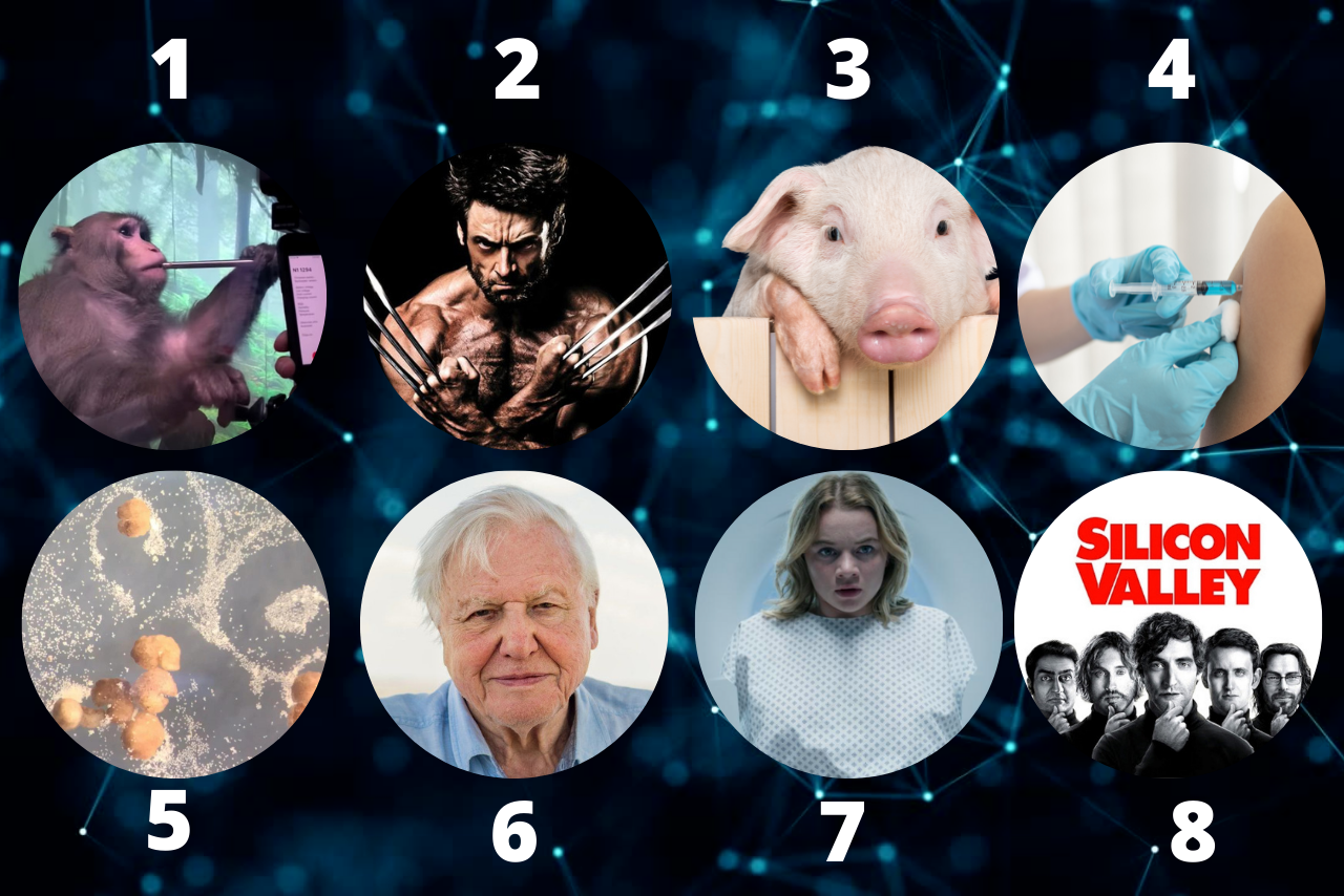 De top 8 tech trends van 2021